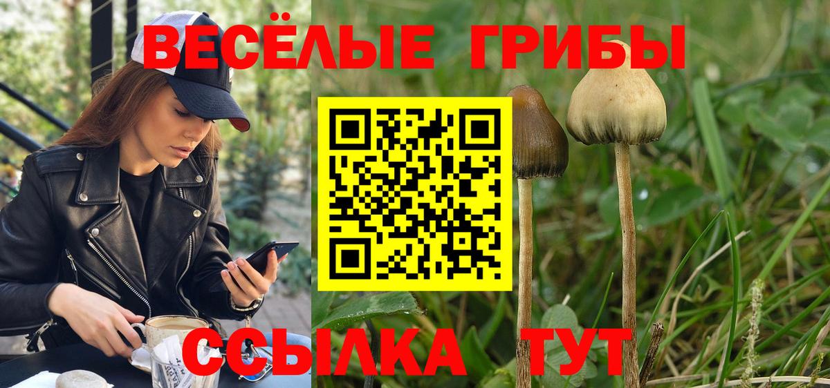 Псилоцибиновые грибы прущие грибы  Вход с VPN  Псилоцибиновые грибы мухоморы  Конаково 